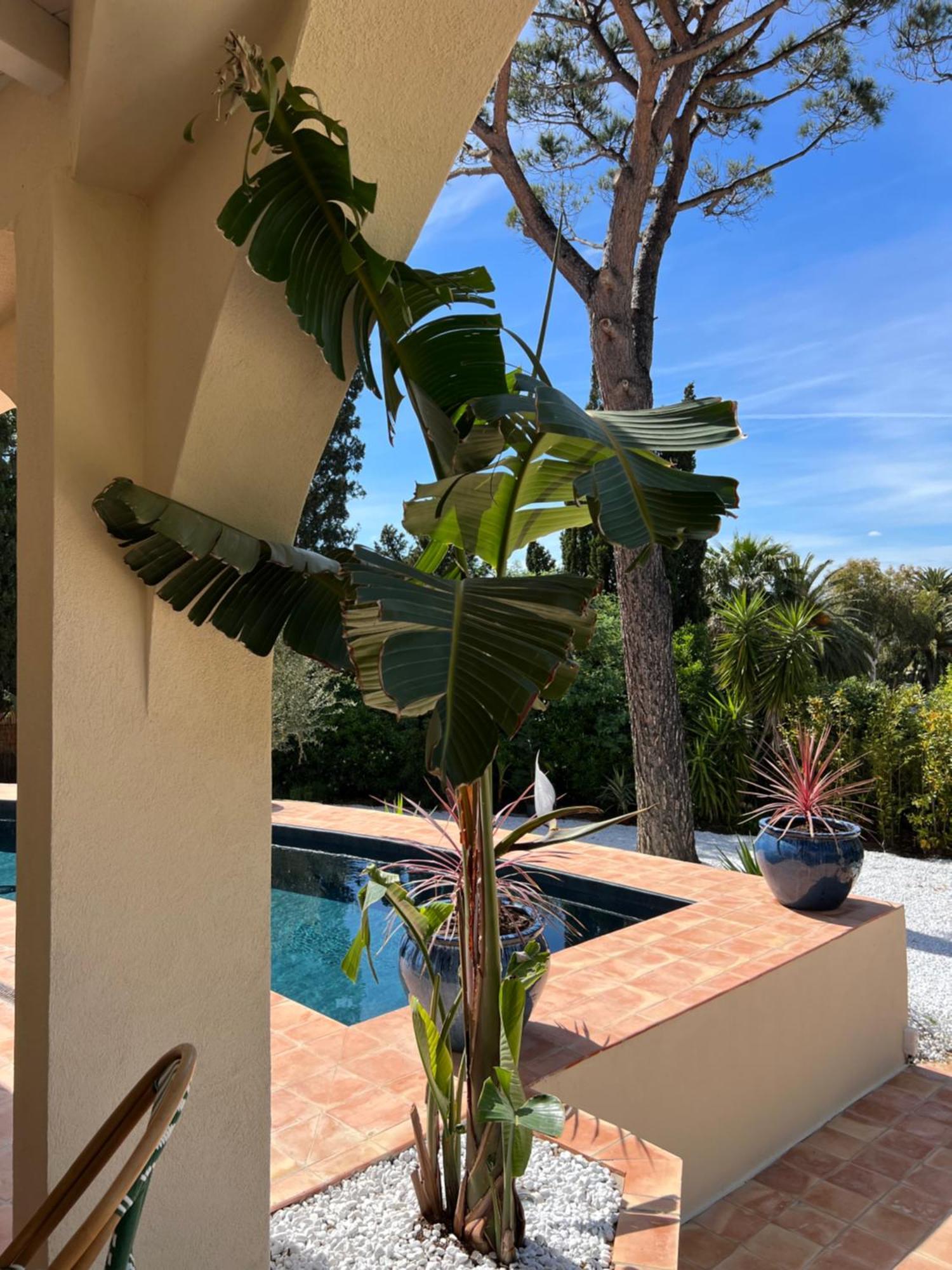 Maison D'Orange - La Pinede Saint-Tropez Exterior photo